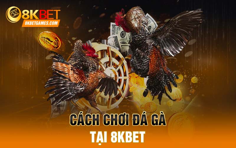 Cách chơi đá gà tại 8KBET