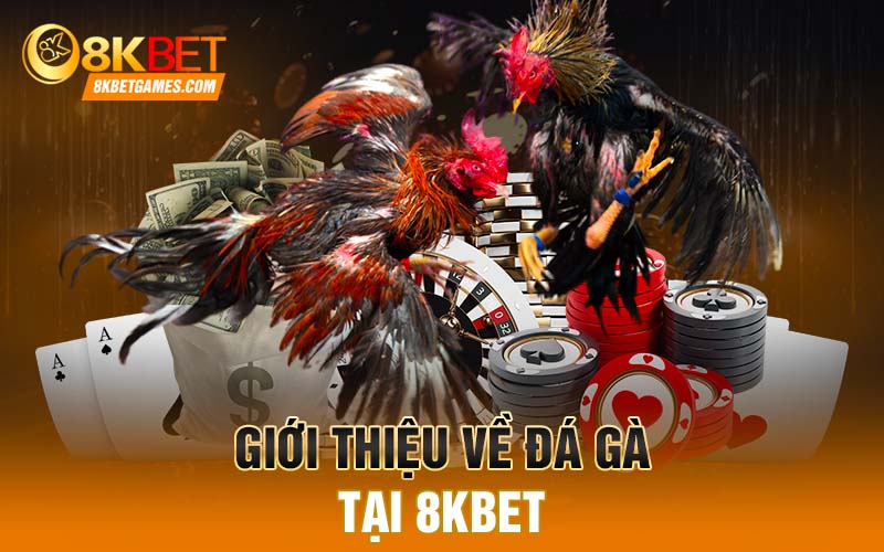 Giới thiệu về đá gà tại 8KBET