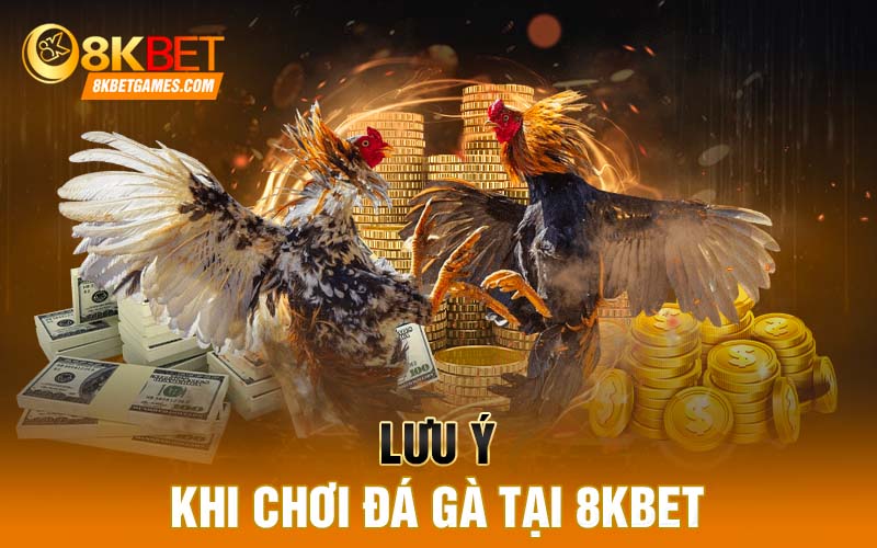 Lưu ý khi chơi đá gà tại 8KBET